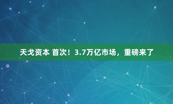 天戈资本 首次！3.7万亿市场，重磅来了