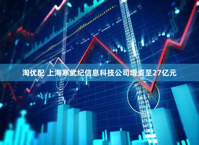 淘优配 上海寒武纪信息科技公司增资至27亿元